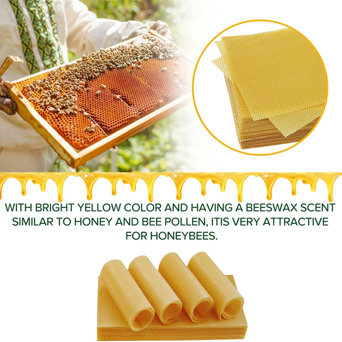 Natural Honeycomb Bee Wax Sheets Yellow Beekeeping Beeswax Flake Honeycomb Mold for Beekeeping/Candle Making/Furniture Polishing