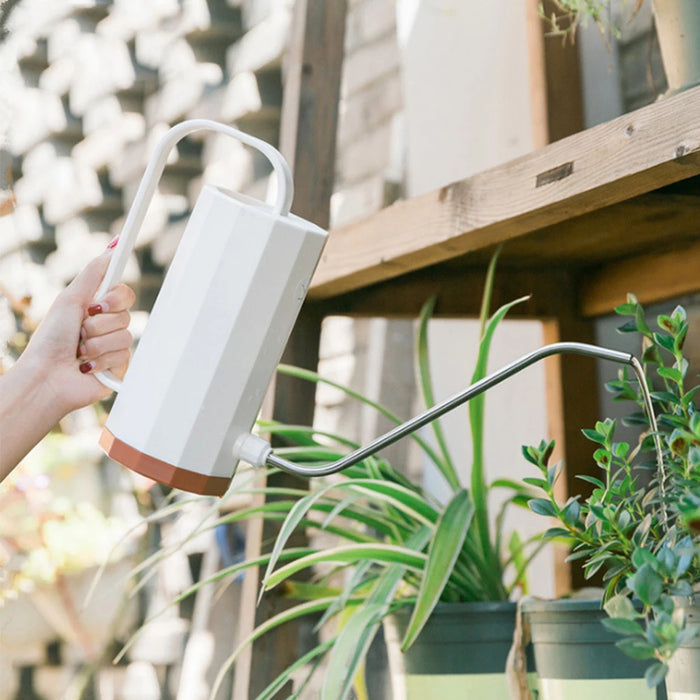 1000ml Plant Watering Can Stainless Steel Curved Mouth Curved Mouth Watering Can Household Removable Nozzle for Bonsai Succulent